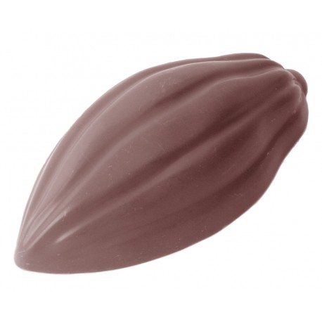 Ziarno kakaowca 5cm - forma...